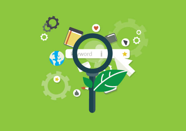 Seo Company