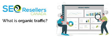 What is organic traffic: All you need to know about Organic Search and Google Analytics