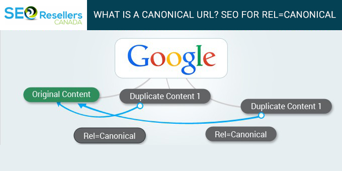 Learn everything there is to know about Canonical URL and how to master them