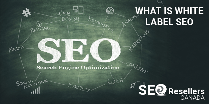 Learn about White Label SEO Services and How it Works