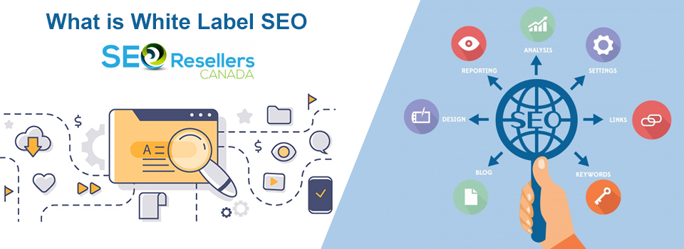 What Is White Label SEO And How Does It Work?