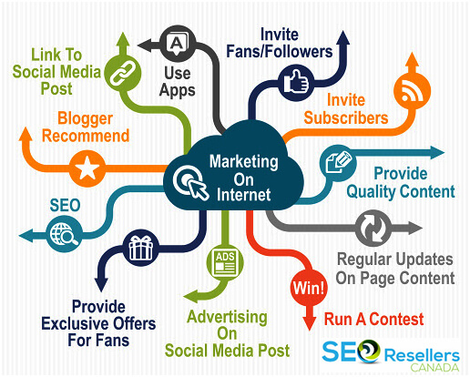 What Are the Main Types of Web Marketing?