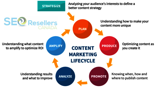 Create a Content Marketing Plan
