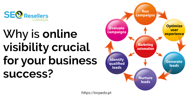 Online visibility crucial for your business success