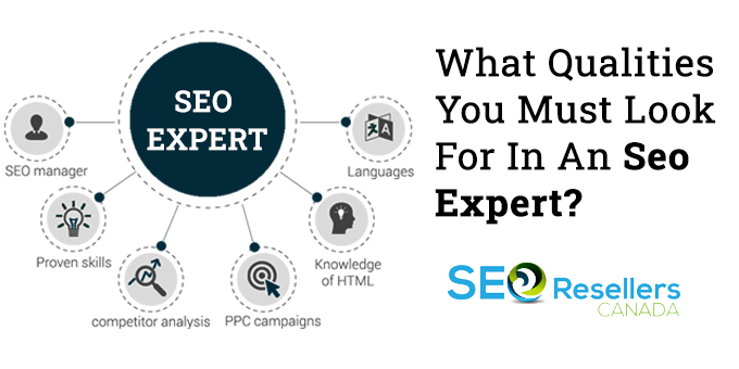 The essential qualities you must look for in an SEO expert