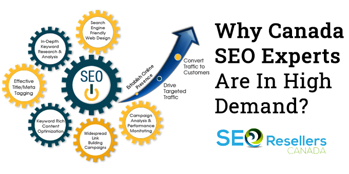 Why SEO experts in Canada are in high demand