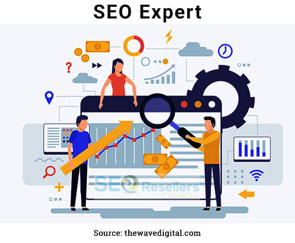 Expert SEO Services at Lower Cost