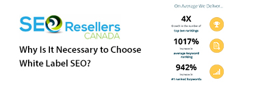 Why-Is-It-Necessary-to-Choose-White-Label-SEO1