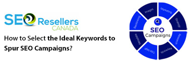 Select the Ideal Keywords to Spur SEO Campaigns