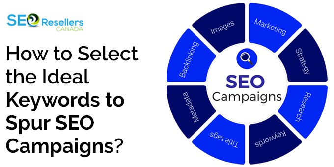 How to Select the Ideal Keywords to Spur SEO Campaigns