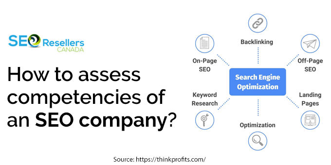 How to assess competencies of an SEO company?