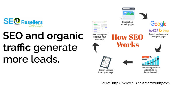 SEO and organic traffic generate more leads