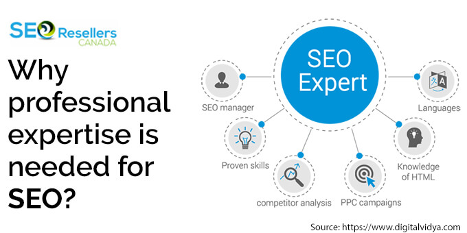 Professional expertise is needed for SEO