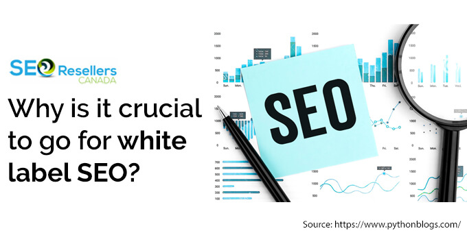 Why is it crucial to go for white label SEO?