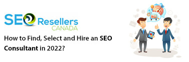 How to Find, Select and Hire an SEO Consultant in 2022?
