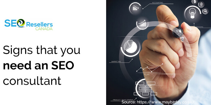 Signs that you need an SEO consultant
