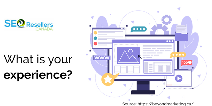 What is your experience?
