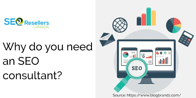 Why do you need an SEO consultant?