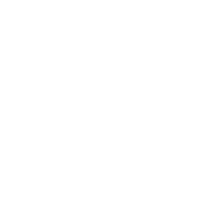 Hot Spoon Logo