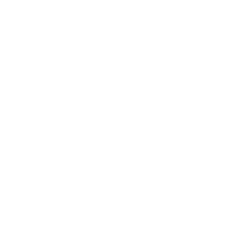 The Ecommerce Logo