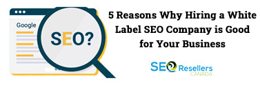 5 Reasons Why Hiring a White Label SEO Company is Good for Your Business