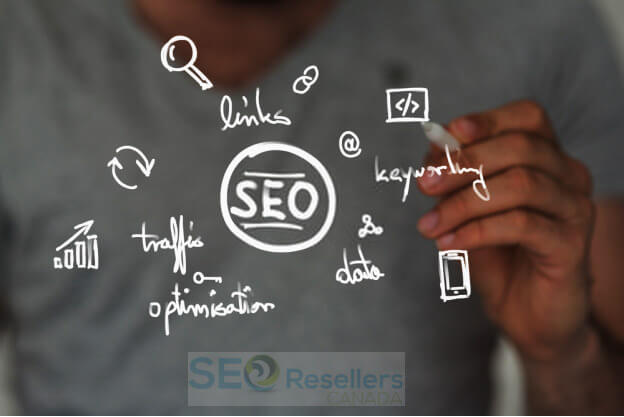 Decide why you need to hire an SEO company