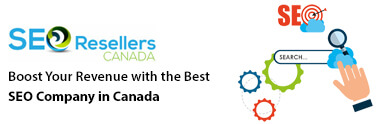 Boost Your Revenue with the Best SEO Company in Canada