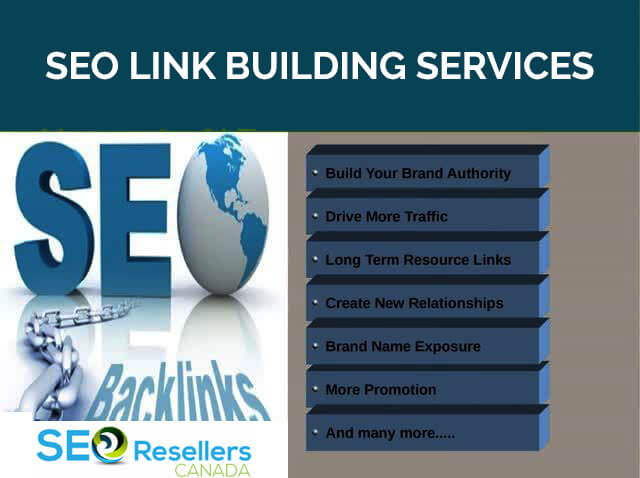 What to Look for in an SEO Backlink Building Service?