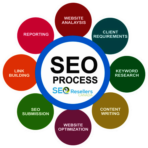 Optimize the website for SEO