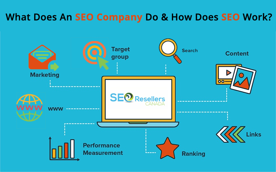 What Does An SEO Company Do & How Does SEO Work?