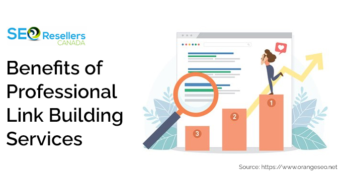 Benefits of Professional Link Building Services
