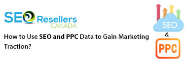How to Use SEO and PPC Data to Gain Marketing Traction?