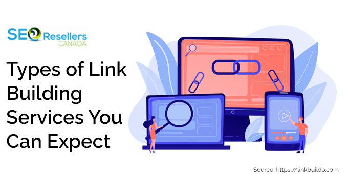 Types of Link Building Services You Can Expect