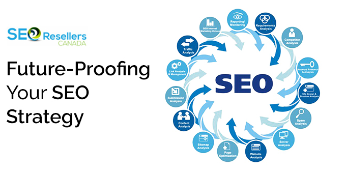 Future-Proofing Your SEO Strategy