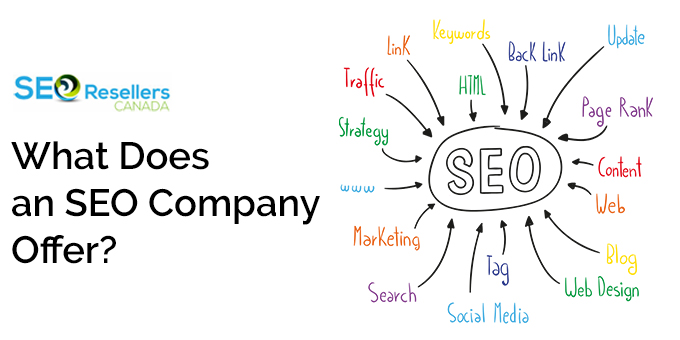 What Does an SEO Company Offer?