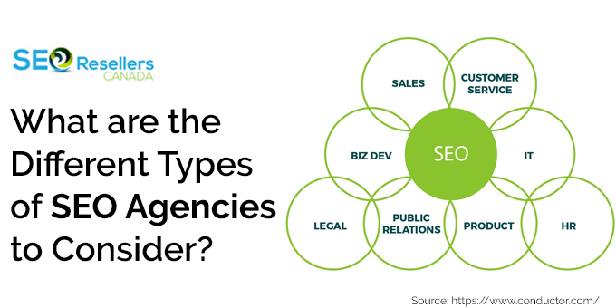 What are the Different Types of SEO Agencies to Consider?