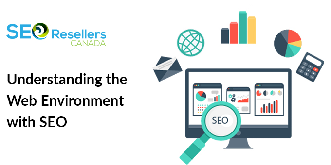 Understanding the Web Environment with SEO