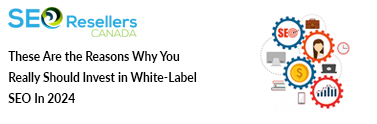 These Are the Reasons Why You Really Should Invest in White-Label SEO In 2024