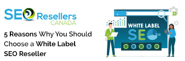 5 Reasons Why You Should Choose a White Label SEO Reseller