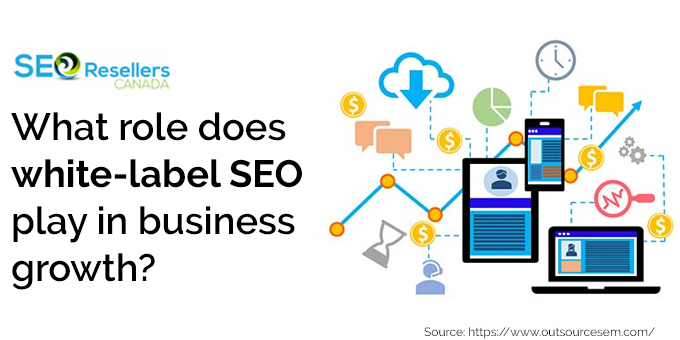 What role does white-label SEO play in business growth?