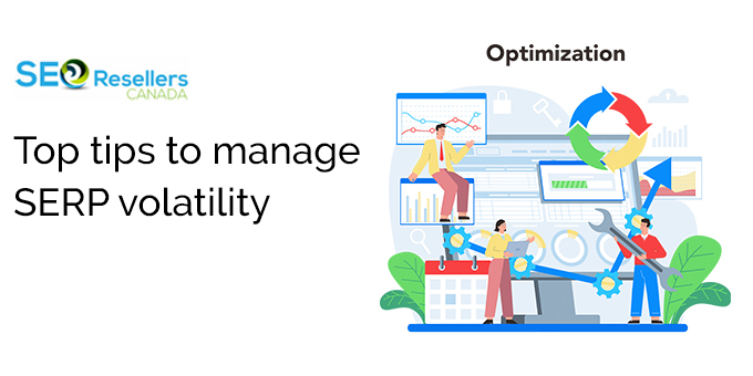 Top tips to manage SERP volatility