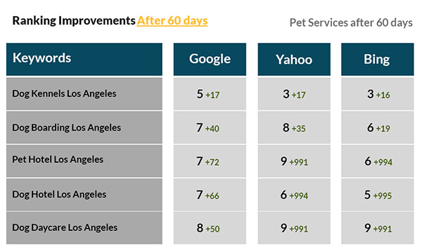 Pet Services Campaign After 60 days Pet Services Campaign After 60 days