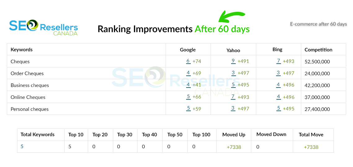 SEO Results for Business e-Commerce After