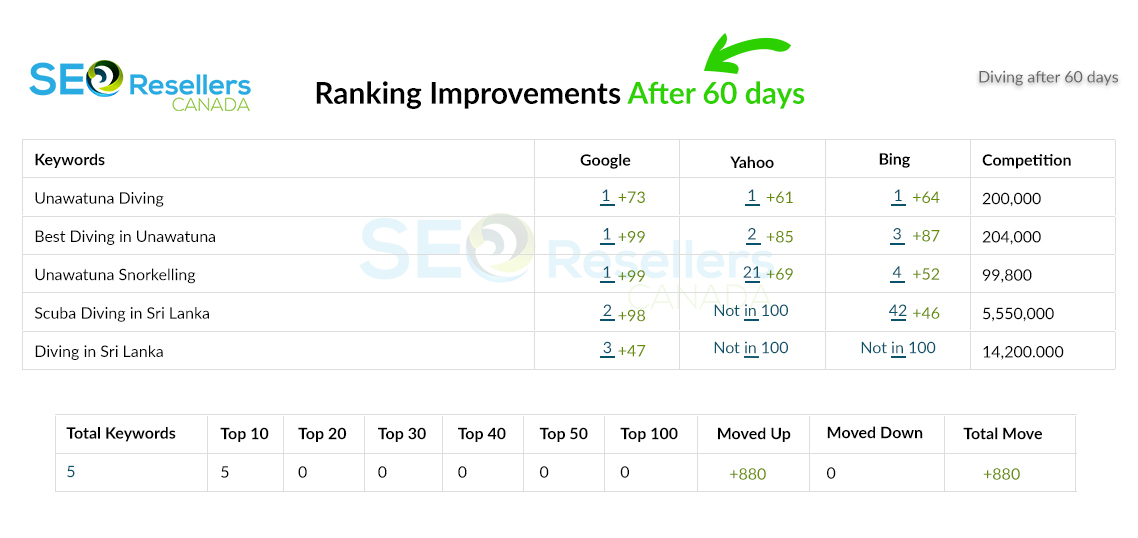 SEO Results for Diving After