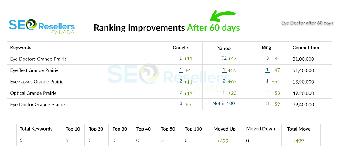SEO Results for Eye Doctor After