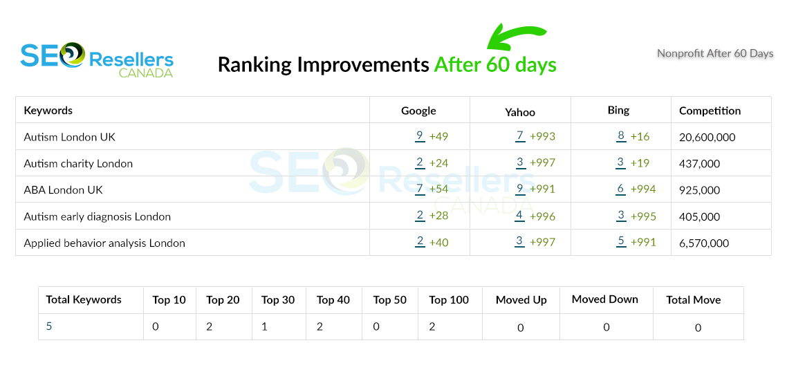 SEO Results for Nonprofit After
