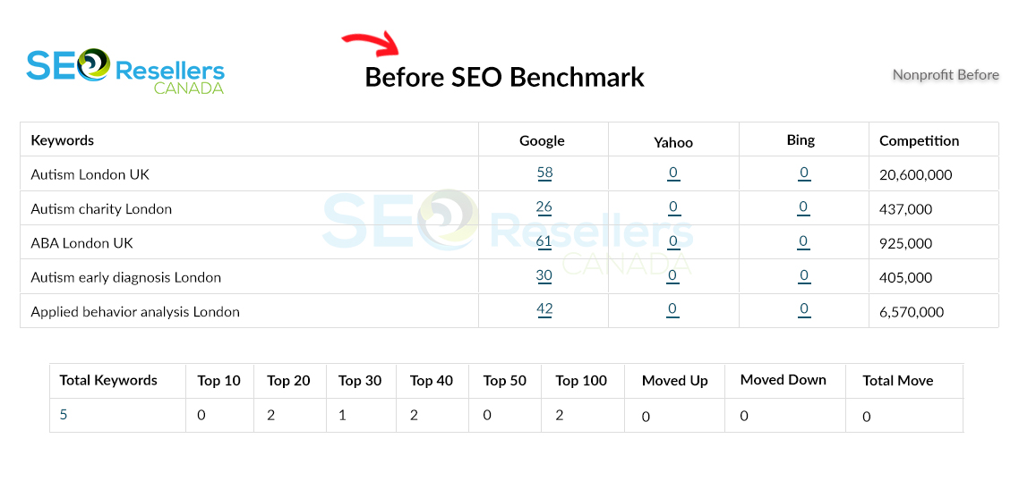 SEO Results for Nonprofit Before