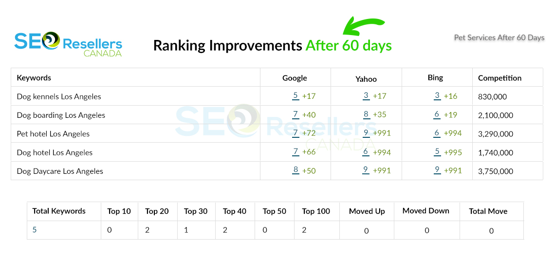 SEO Results for Pet Services After