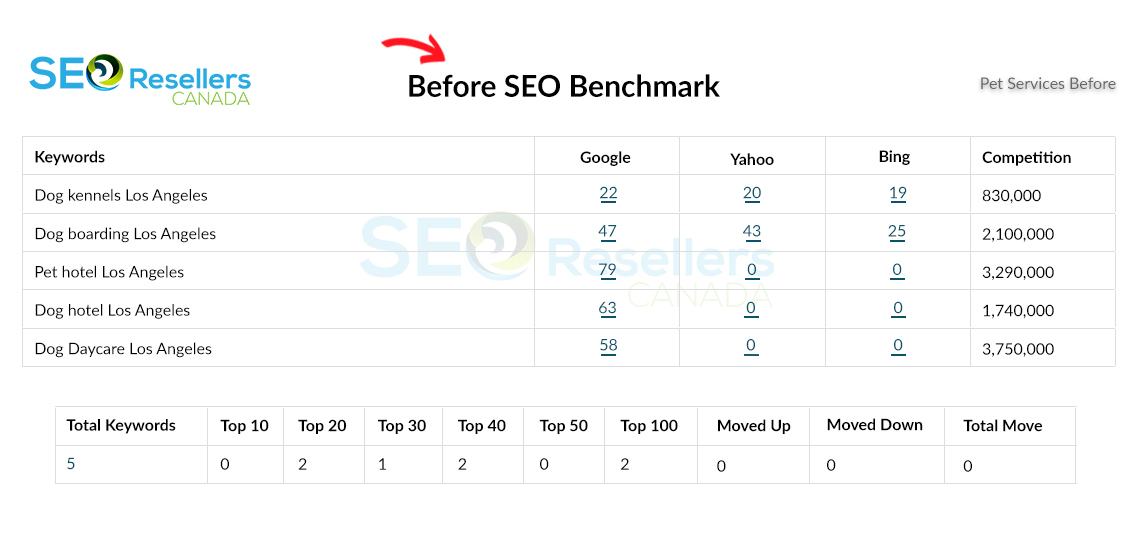 SEO Results for Pet Services Before