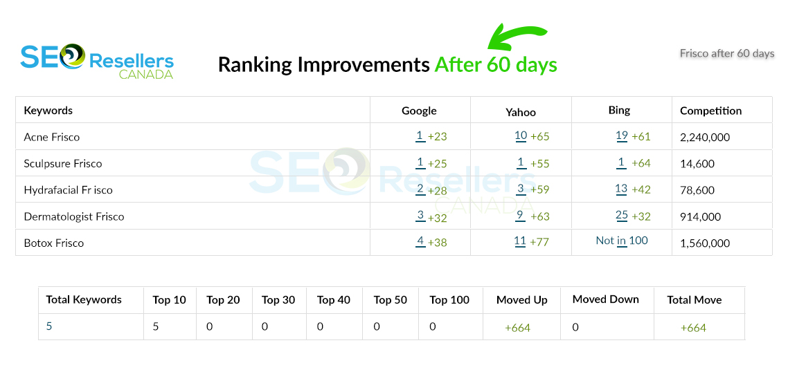 SEO Results for Skincare After
